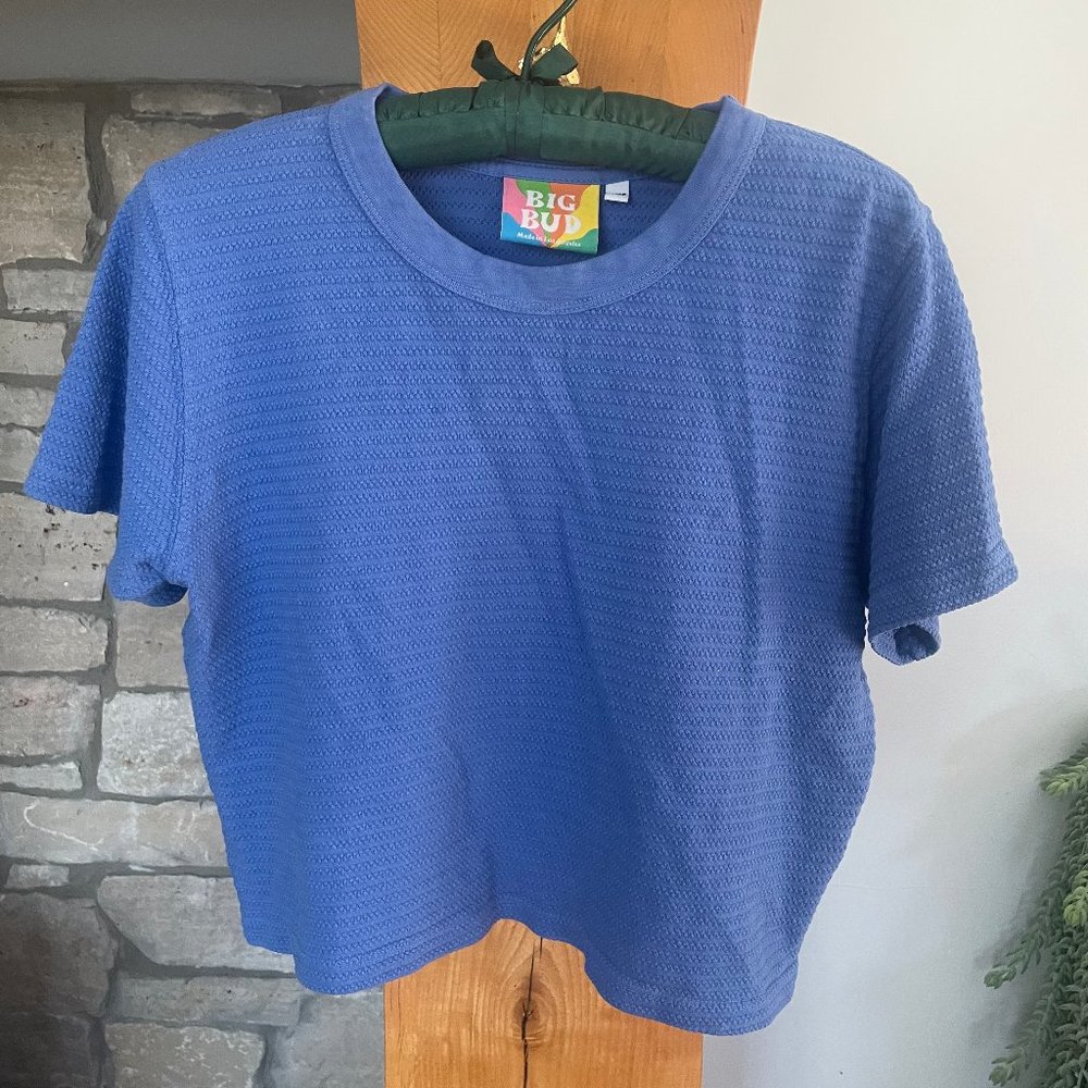 Big Bud Press Cropped T Shirt XXS